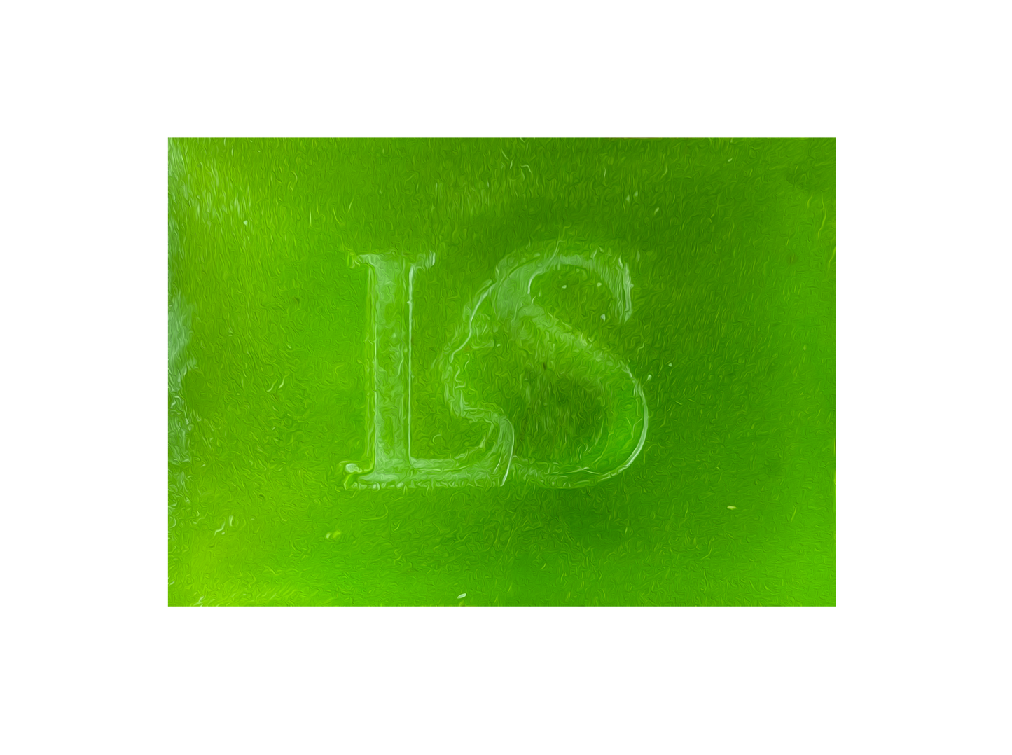 Laila's Secrets - Aloe Vera & Rice Water Herbal Soap